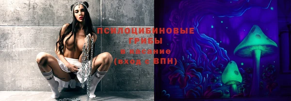 скорость Ладушкин