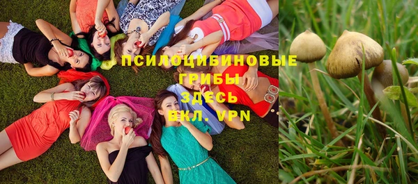 скорость Ладушкин