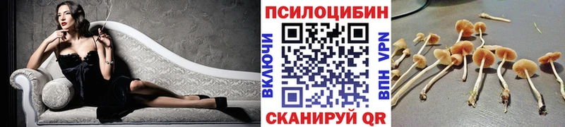 Псилоцибиновые грибы GOLDEN TEACHER  Купить  Павловская 