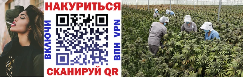 Шишки марихуана планчик  Купить закладки  Павловская 